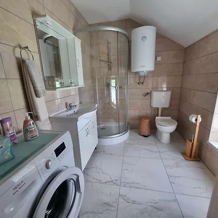 Apartmaji Ribic Apartman Ljubno